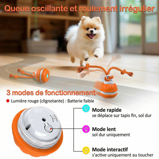Balle Interactive Anti-Ennui pour Chien Pawkit
