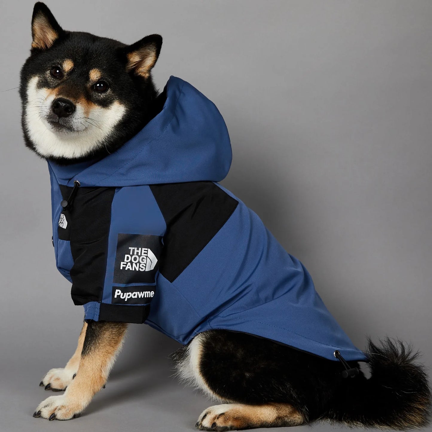 Veste imperméable premium pour chien