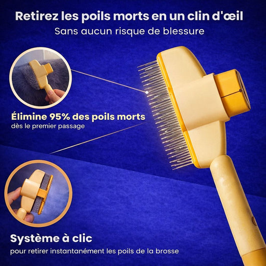 Brosse anti-poil pour chat
