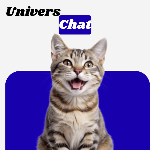 Chats - Pawkit