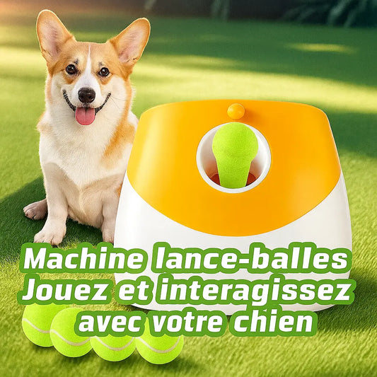 Lanceur automatique de balles pour chien Pawkit