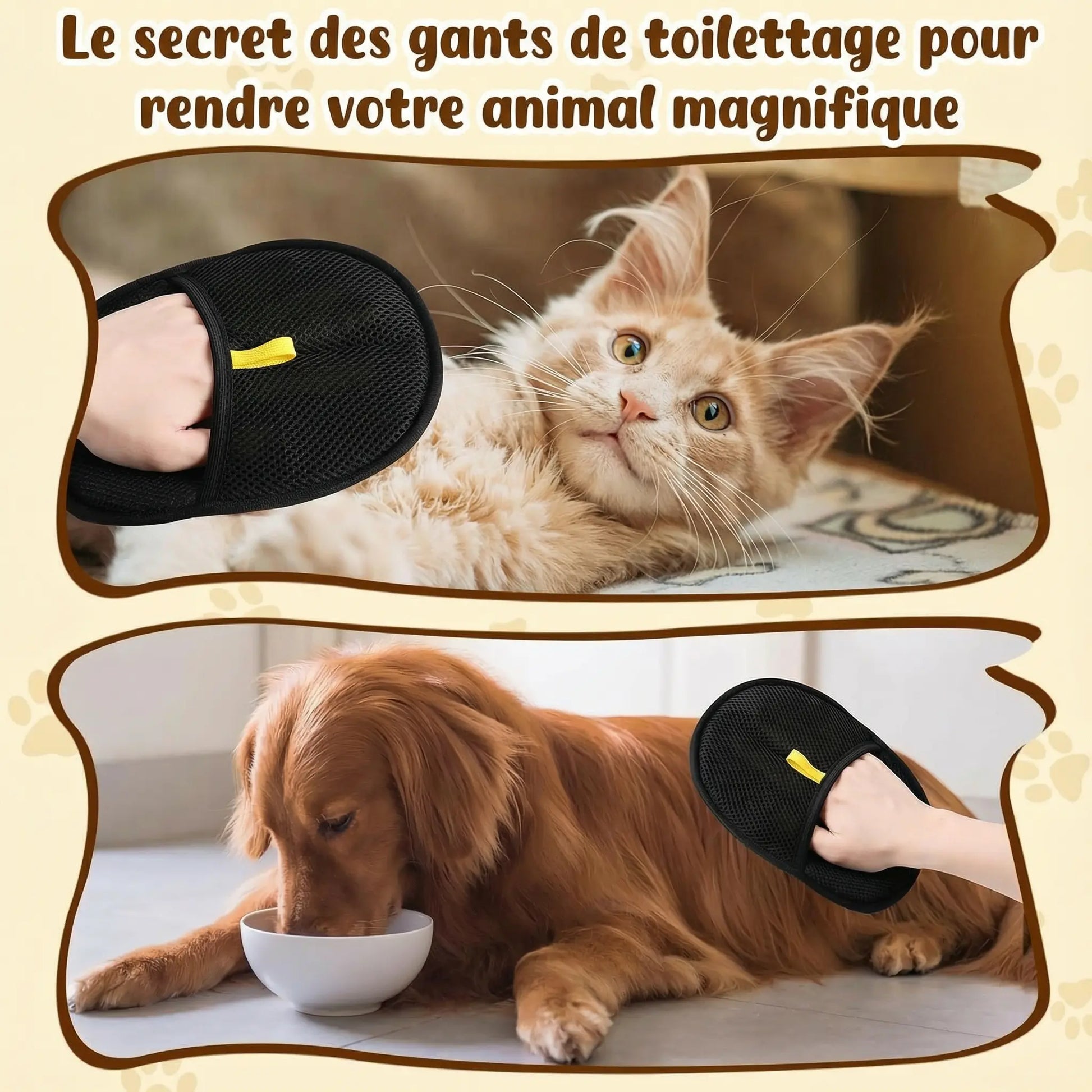 Gant d’épilation  pour Chats et Chiens Pawkit