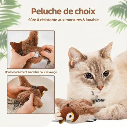 Oiseau volant interactif pour Chat Pawkit