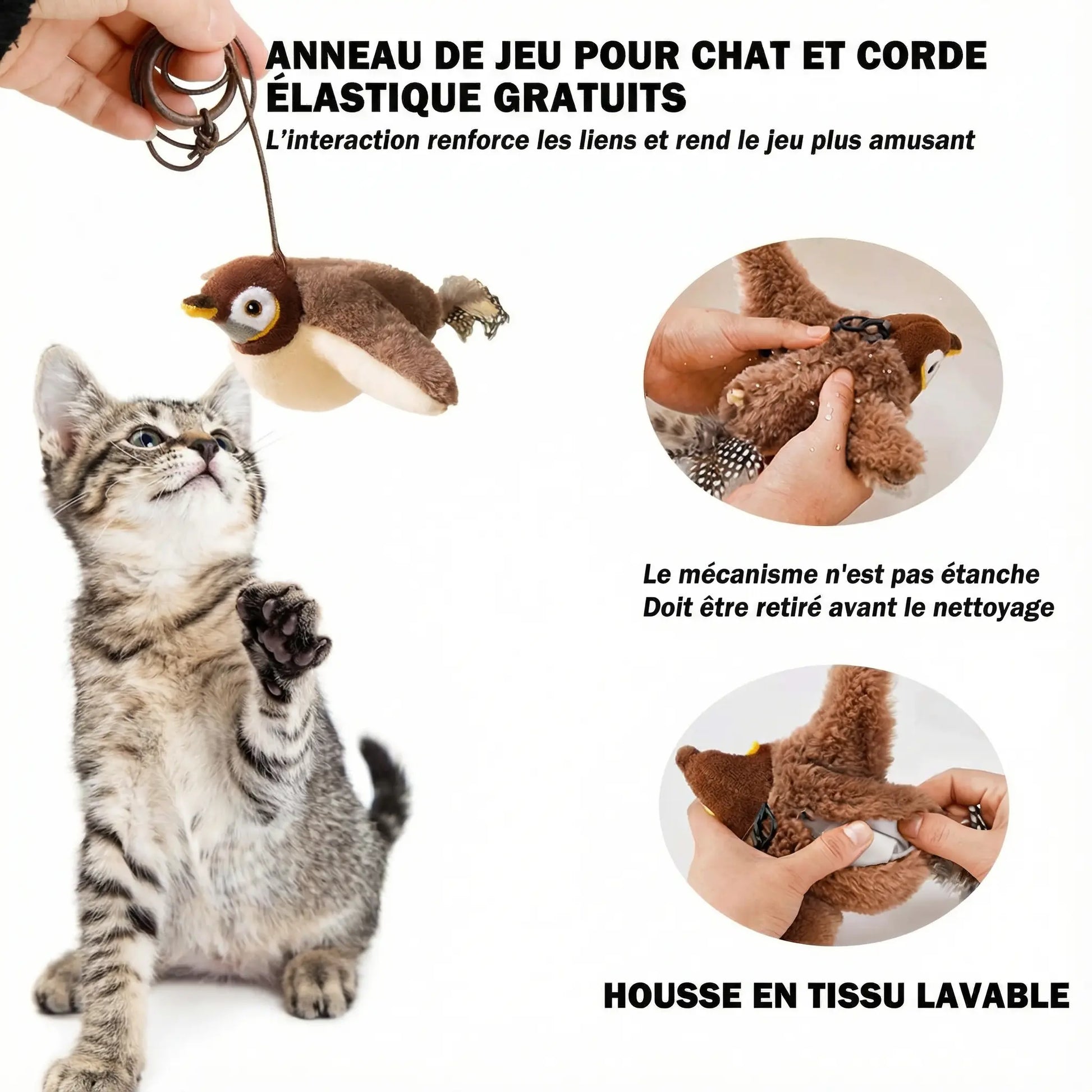 Oiseau volant interactif pour Chat Pawkit