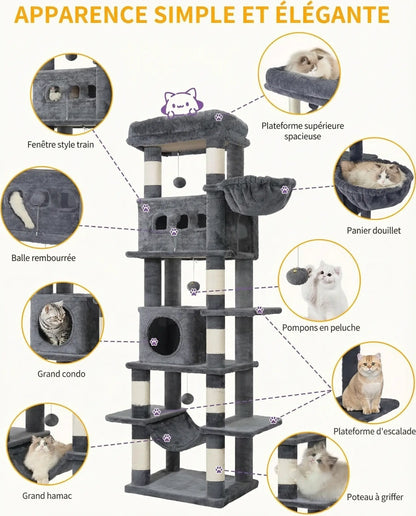 Arbre à Chat XXL Multi-Niveaux Pawkit
