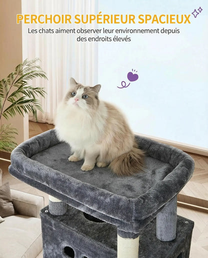 Arbre à Chat XXL Multi-Niveaux Pawkit