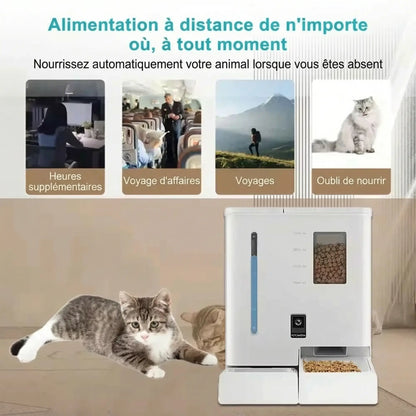 Bol Intelligent 2-en-1 avec Caméra Pawkit