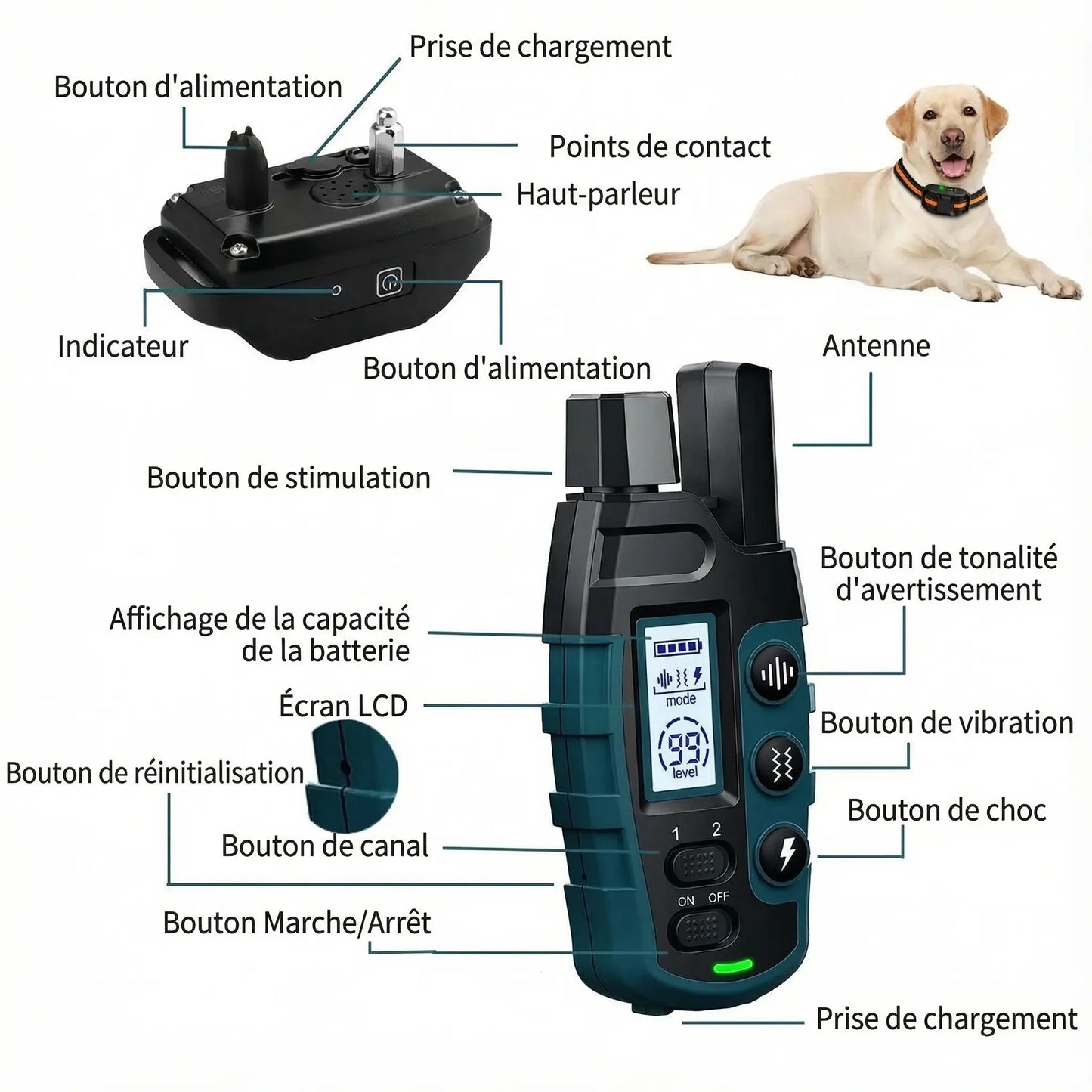 Collier de dressage électrique étanche Pawkit