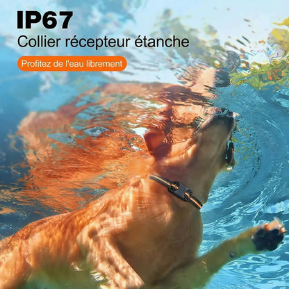 Collier de dressage électrique étanche Pawkit