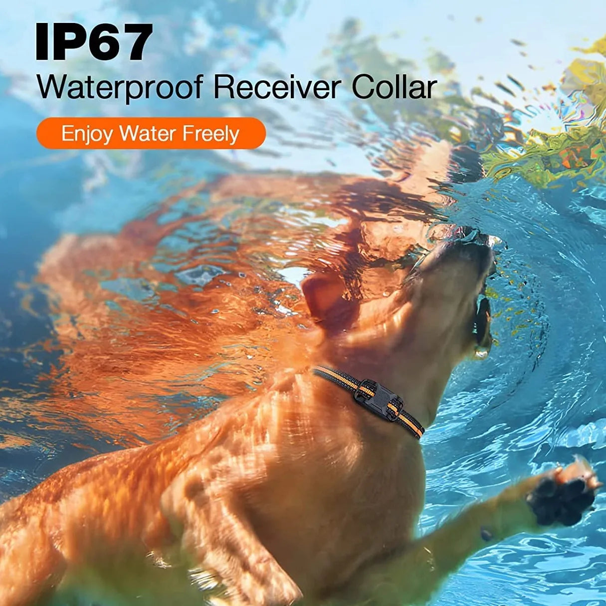 Collier de dressage électrique longue portée étanche avec télécommande