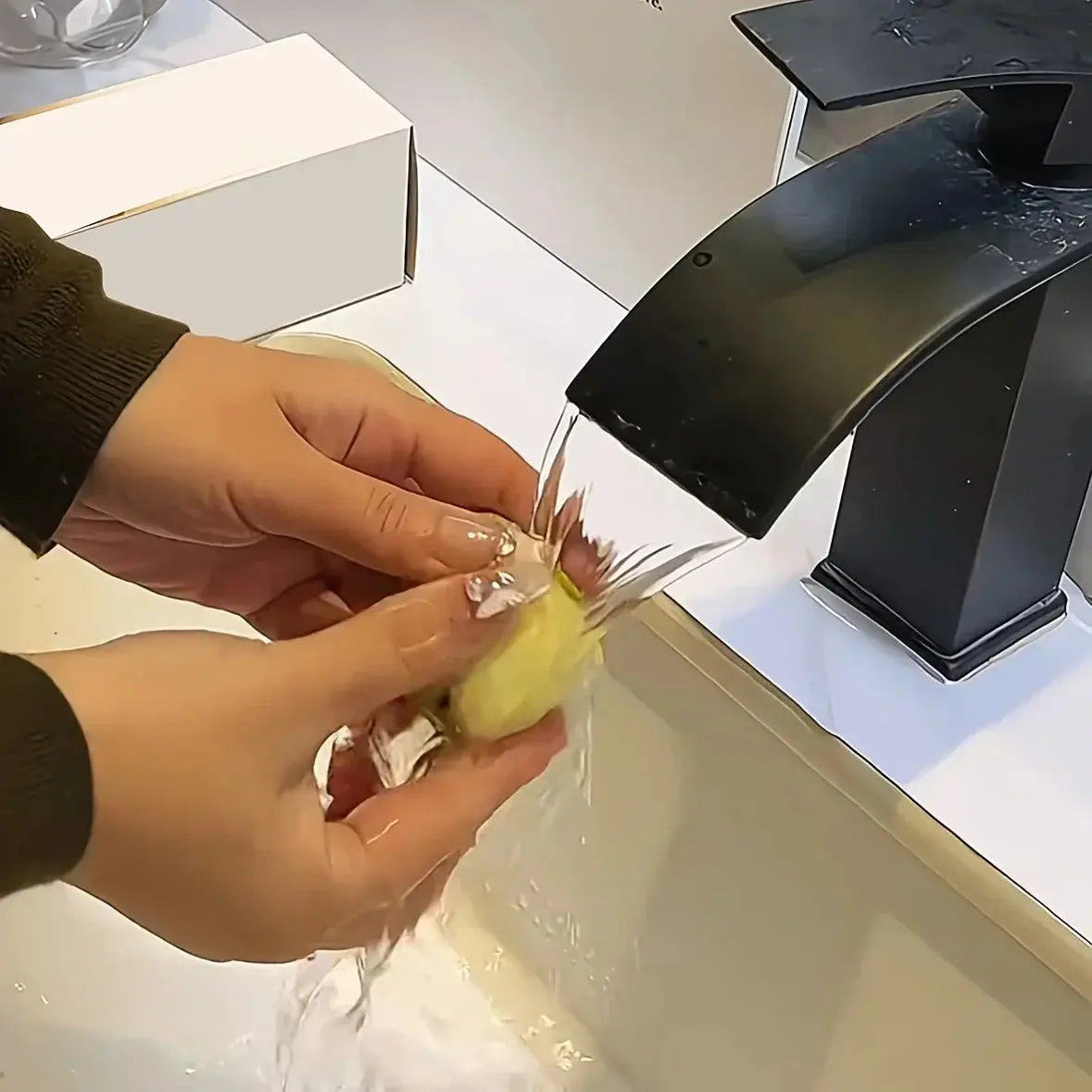 Rouleau Anti-Poils Réutilisable pour Chat et Chien Pawkit