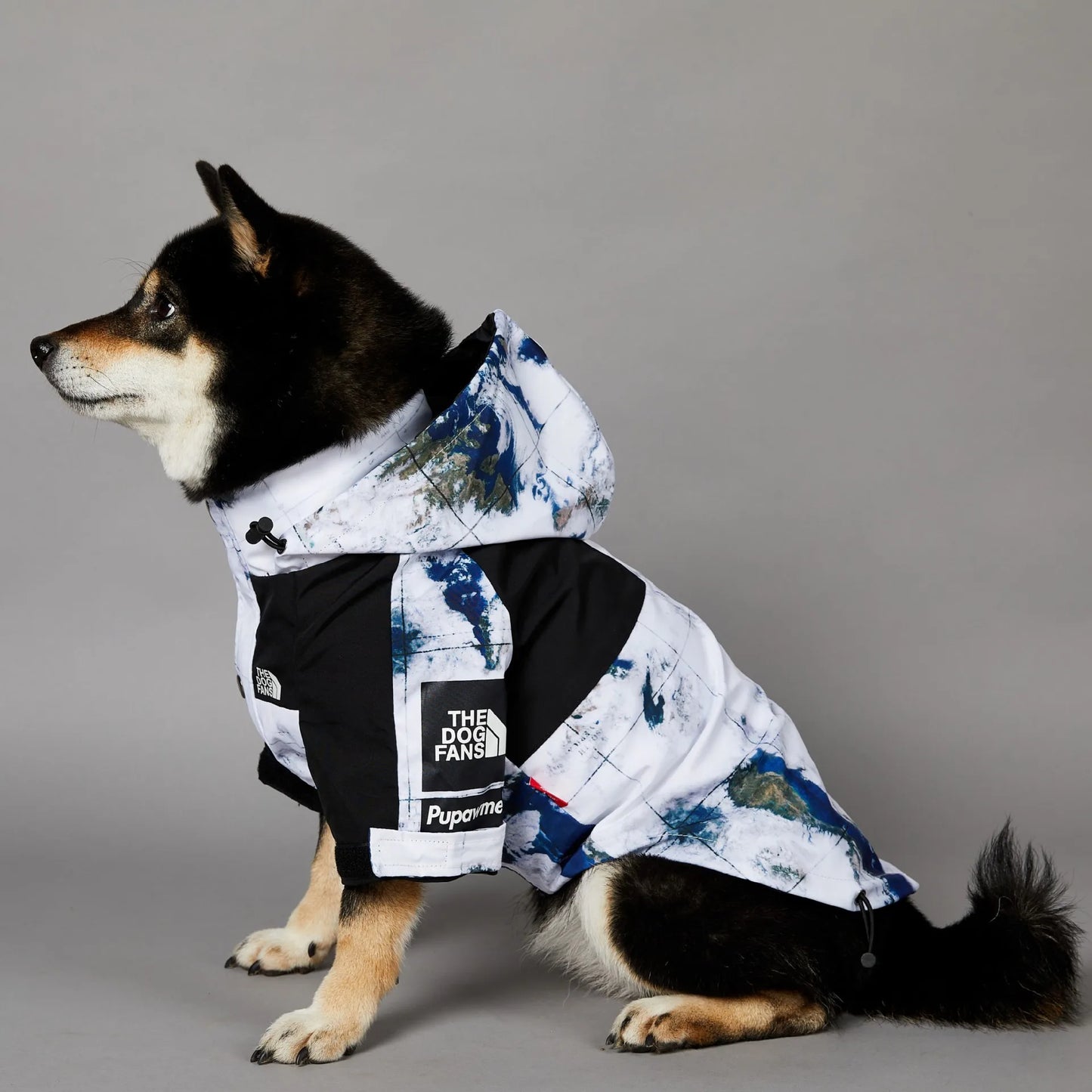 Veste imperméable premium pour chien