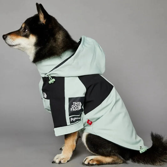 Veste imperméable premium pour chien
