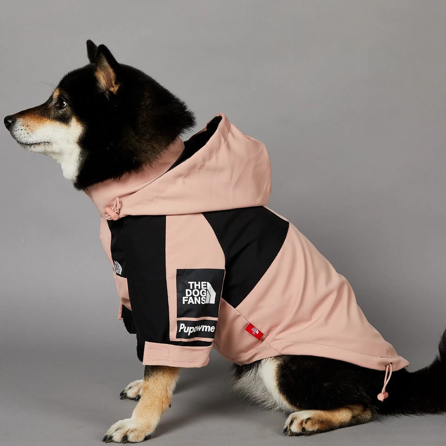 Veste imperméable premium pour chien