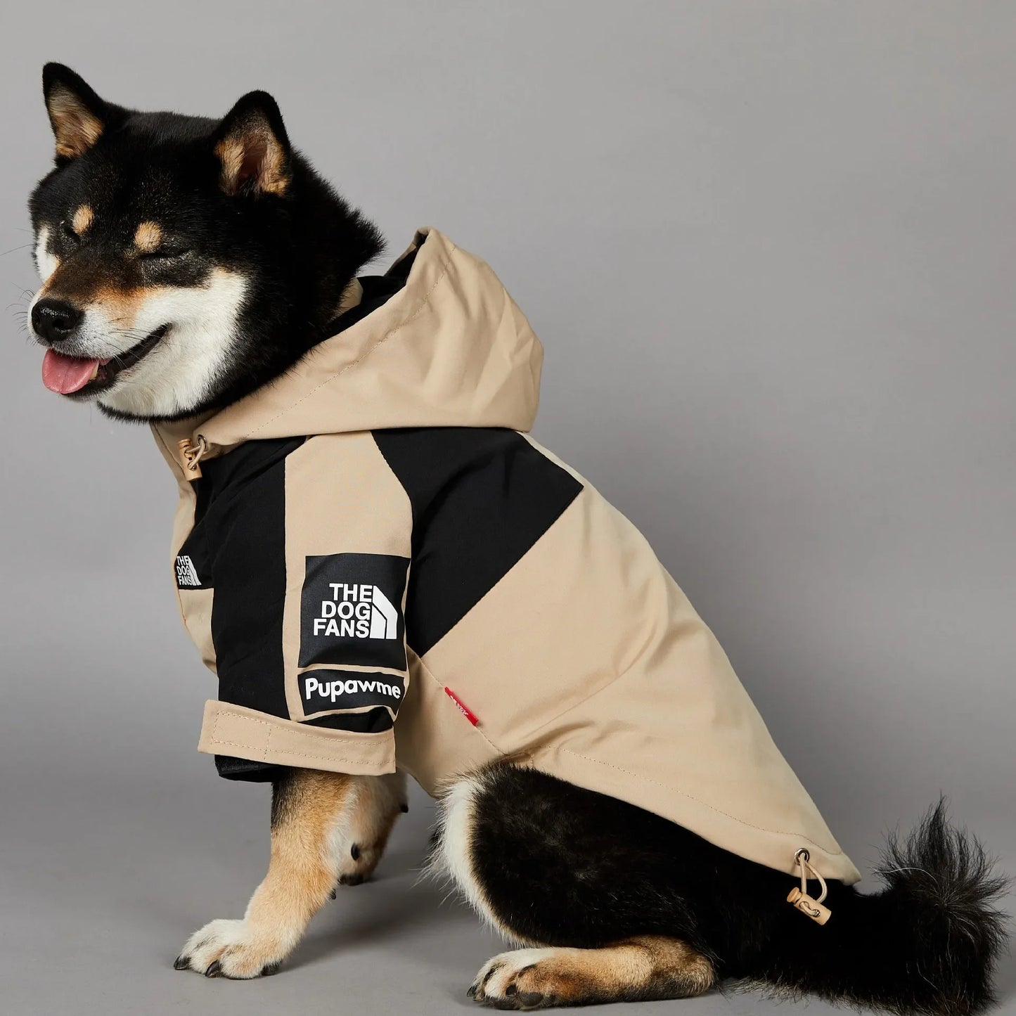 Veste imperméable premium pour chien