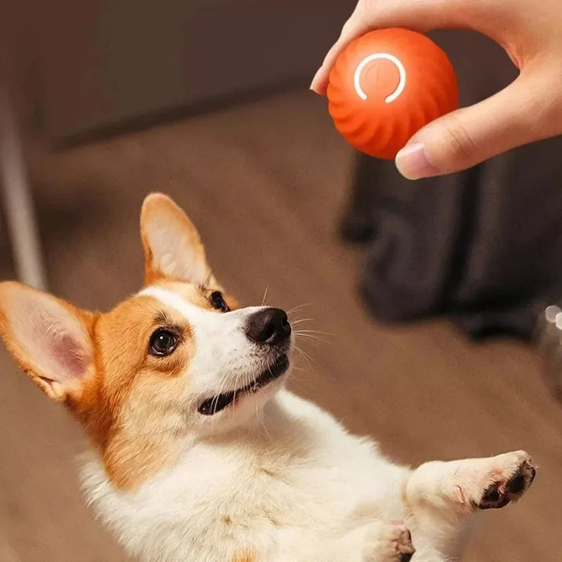 Balle interactive automatique pour chien USB rechargeable