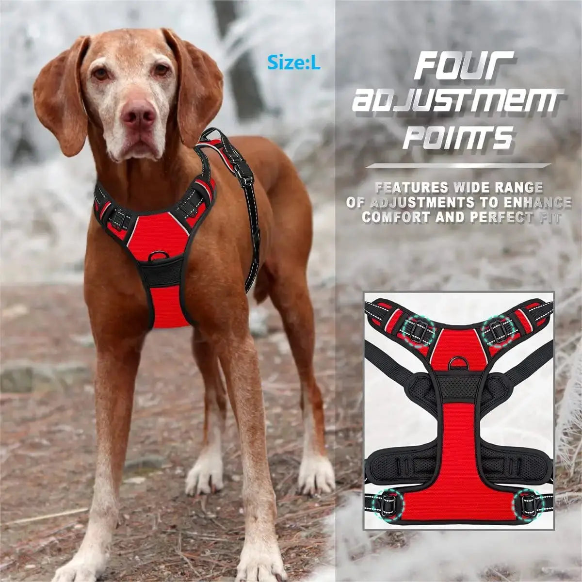 Harnais anti-traction pour Chien avec poignée Pawkit