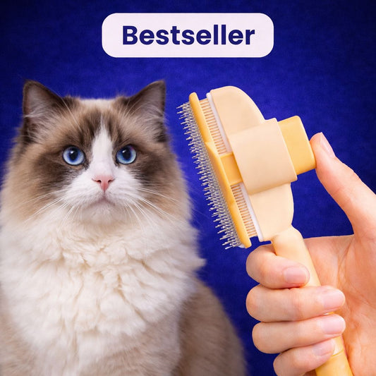 Brosse anti-poil pour chat