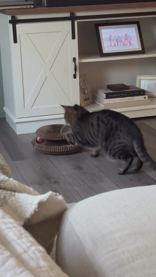 Griffoir pour chat avec jouet